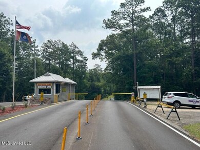 116 E Sunnybrook Rd, Carriere, MS 39426 - photo 7