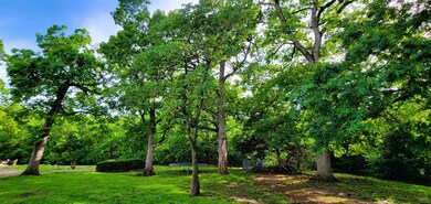 596 NW 105th Rd, Centerview, MO 64019 - photo 3