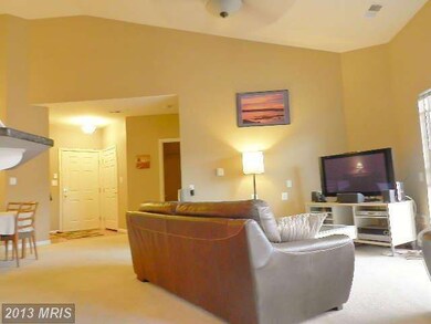 7230 Darby Downs unit N, Elkridge, MD 21075 - photo 7