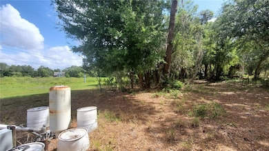 4161 Old Bartow Eagle Lake Rd, Bartow, FL 33830 - photo 3