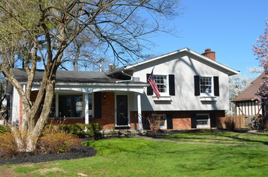 Front Left View