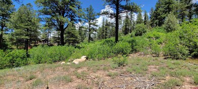 1156 Twin Buttes Ave, Durango, CO 81301 - photo 4