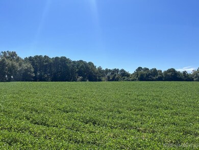 72.75 ac. Boll Weevil Cir, Enterprise, AL 36330 - photo 6