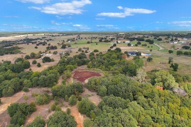 501 Hereford Rd, Poolville, TX 76487 - photo 4