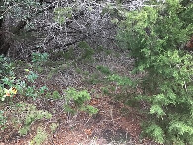 33034 Woodcrest Dr, Whitney, TX 76692 - photo 6