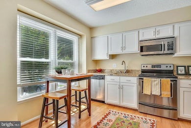 1417 Newport Spring Ct, Reston, VA 20194 - photo 3