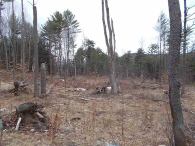 0 Chestnut St unit 4687053, Claremont, NH 03743 - photo 5