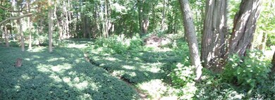 633 Lorraine Ave, Schenectady, NY 12303 - photo 5