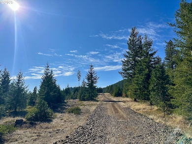 0 Black Butte Lot 7 unit 419110351, Goldendale, WA 98620 - photo 5