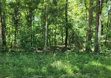 0000 SW Delaware Way, Fort White, FL 32038 - photo 7