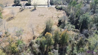 28519 Horseshoe Rd, Independence, LA 70443 - photo 6