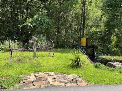 668 Gold Cove Dr, Dahlonega, GA 30533 - photo 2