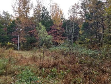 385 Doug Luna Rd, Walling, TN 38587 - photo 5