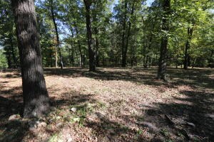 1494 Wolf Springs Rd, Harrison, AR 72601 - photo 5