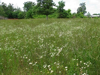 0 W Hwy 72 Hwy unit 696015, Bentonville, AR 72712 - photo 7