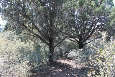Land (2).JPG