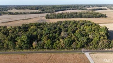 0 Cypress Dale Rd, Union Township, IN 47712 - photo 6