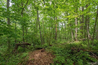 Lot 4 Parkview Ln, Cullowhee, NC 28723 - photo 4