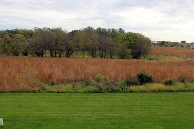 Backyard View