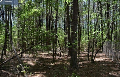 View of nature