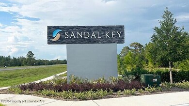 10407 Turtle Run Rd, Weeki Wachee, FL 34613 - photo 4