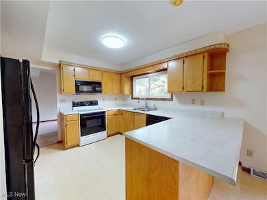 1025 S Ridge Rd E, Geneva, OH 44041 - photo 4