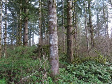 3898 State Route 6, Peell, WA 98572 - photo 4