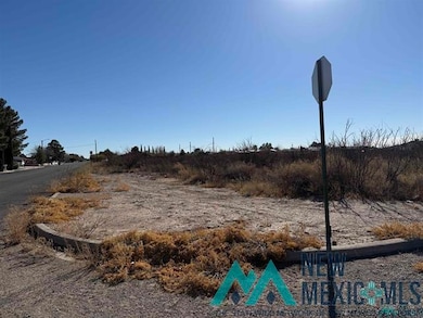 1-24 S Slate & Holly St, Deming, NM 88030 - photo 2