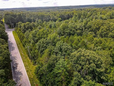 1811 Hendricks Rd, Robertsville, MO 63072 - photo 4