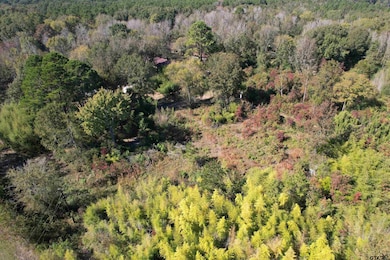 456 Marshall Ivy Rd, Huntington, TX 75949 - photo 7