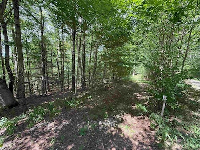 Lot 11 Kumbrabow Rd, Huttonsville, WV 26273 - photo 3