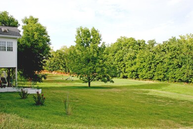 855 Scenic View Ct, Nixa, MO 65714 - photo 5