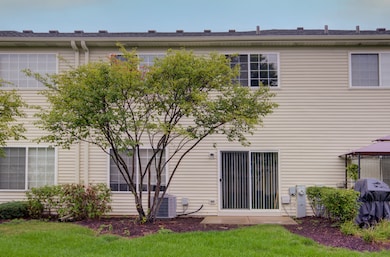 3844 Munson St unit 7312, Plano, IL 60545 - photo 5