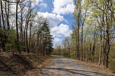 0 Cross Mountain Rd unit 663155, Luray, VA 22835 - photo 4