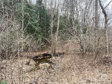 00 Collettsville Rd unit 14, Collettsville, NC 28611 - photo 5