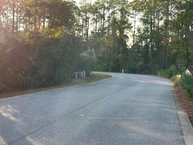 Lot 12 Silver Maple Dr, Rosemary Beach, FL 32413 - photo 3