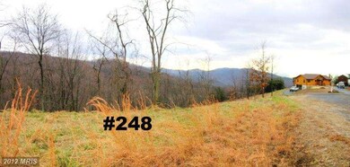 248 Hickory Tree Rd, Moorefield, WV 26836 - photo 3