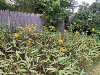 22 Ash Ave, Cranston, RI 02910 - photo 7