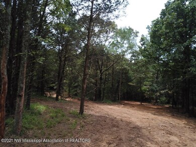 27 French Rd, Byhalia, MS 38611 - photo 4