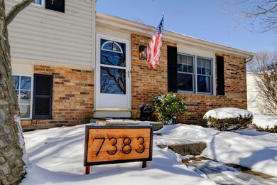 7383ColdstreamDrive_2