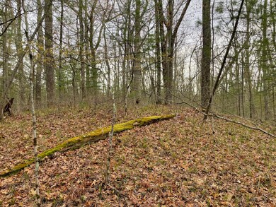 Wooded/hill