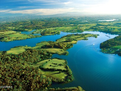 D71F7654-4221-4381-B484-208E12D858DD