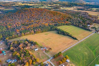 0 Old Six Mile Rd unit 21437335, Somerville, AL 35670 - photo 2