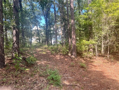 131 Bud Ates Rd, Pollock, LA 71467 - photo 2