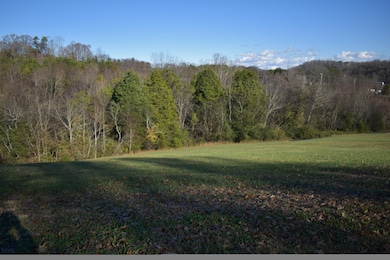 Lot 4 Constitution Dr, Jefferson City, TN 37760 - photo 3