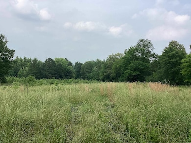 1006 Hempstead 24 Rd, Blevins, AR 71825 - photo 3