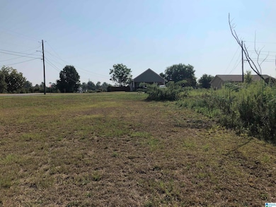 961 6th St unit 1, Pleasant Grove, AL 35127 - photo 6