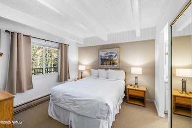 508 E Lionshead Cir unit 211/Weeks 15/16/17, Vail, CO 81657 - photo 3