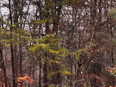 000 Talona Rd, Ellijay, GA 30540 - photo 6