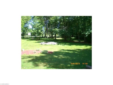 View of backyard from house